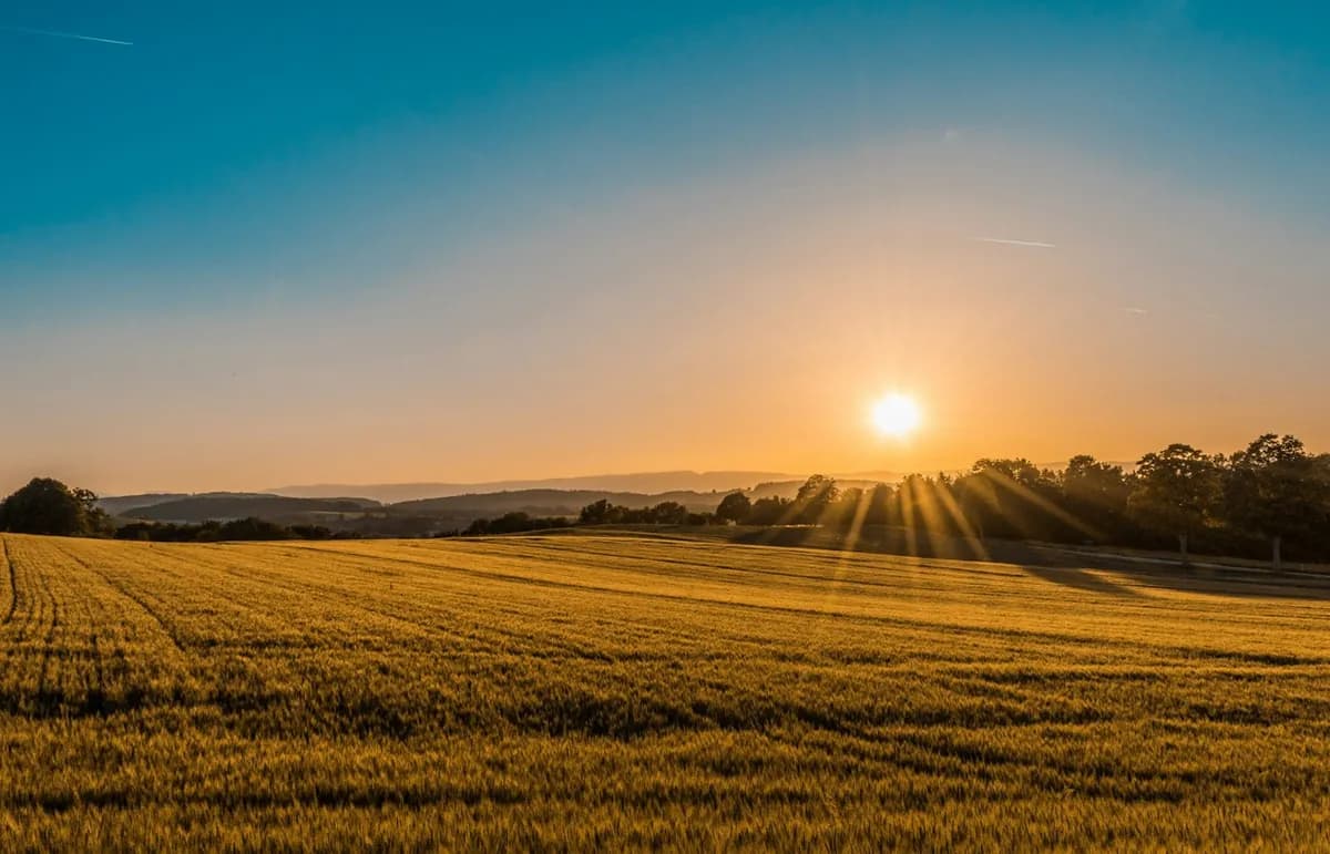 Agricultural landscape near Arroyo Grande fringe properties on septic systems