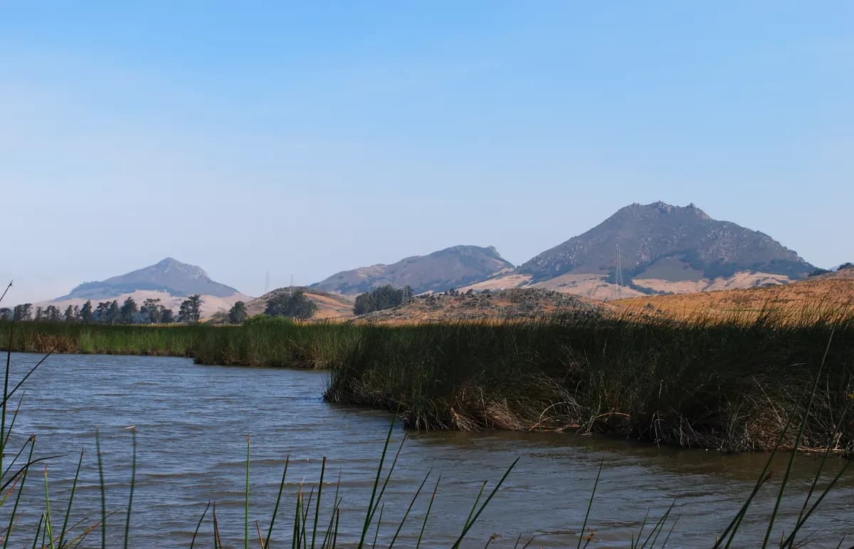 Bishop Peak and nearby foothills in San Luis Obispo where many homes rely on septic tank pumping